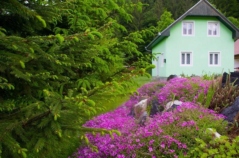Villa Pataki Kulcsosház Izvoare  Exterior foto